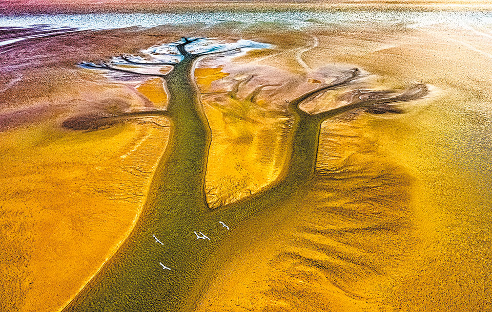 Objetivo: recuperar el delta del río Amarillo