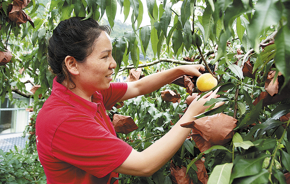 Hunan, donde la pobreza se combate con una etiqueta