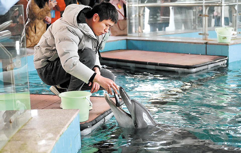 Los delfines blancos vuelven a surcar las aguas de Xiamen