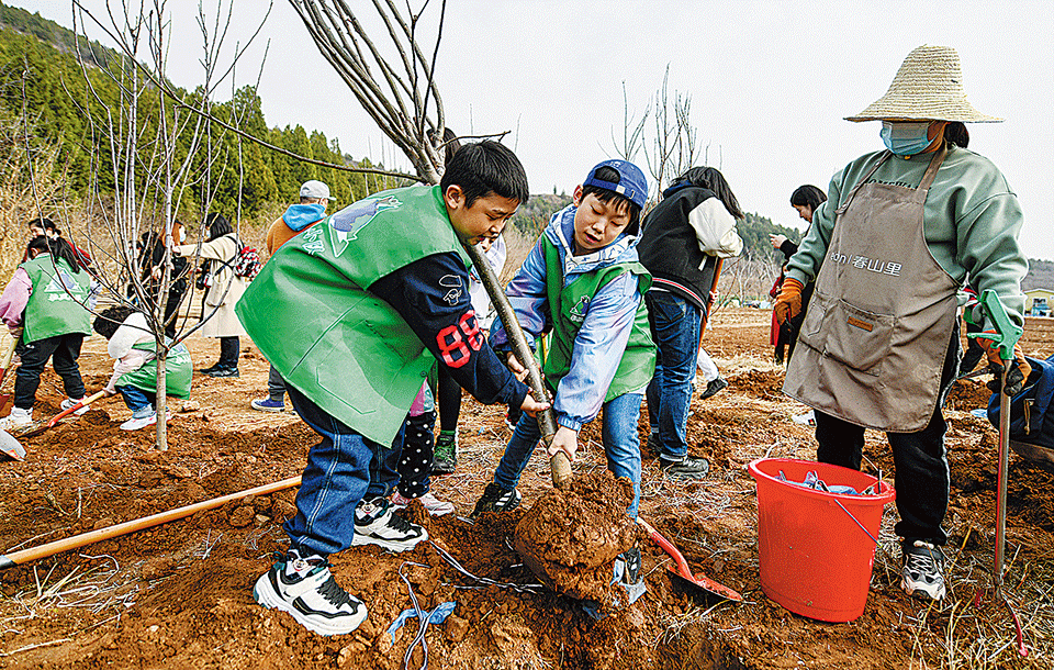 Consumo responsable y reciclaje: los jóvenes se alían con la Tierra