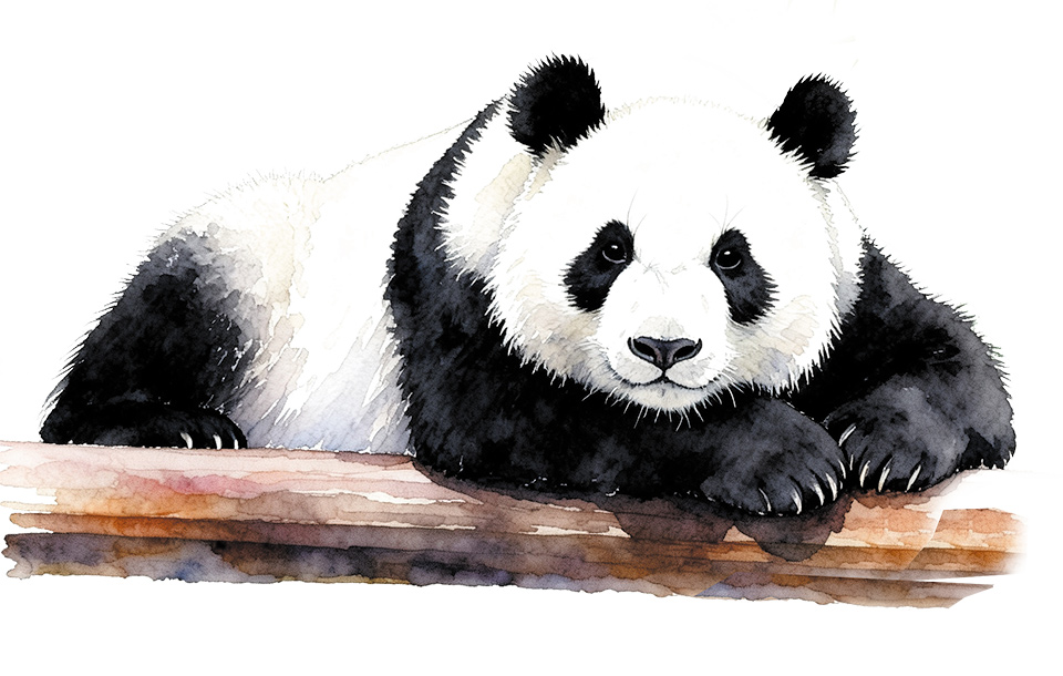 Una visita al hogar del panda gigante