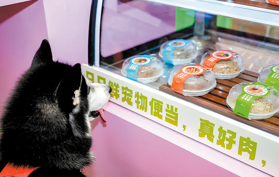 Perros y gatos: abran paso a los nuevos ‘foodies’